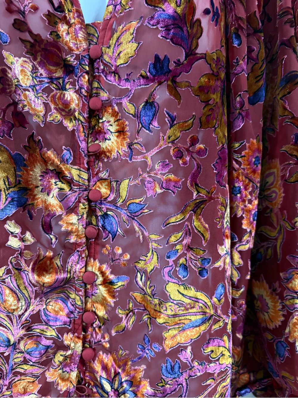Anthropologie Estela Floral Burnout Velvet Blouse Burgundy Medium NWOT - Picture 3 of 9